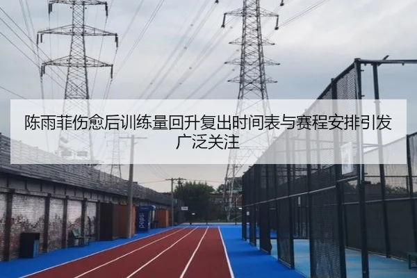 陈雨菲伤愈后训练量回升复出时间表与赛程安排引发广泛关注